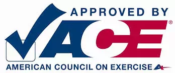 ACE logo