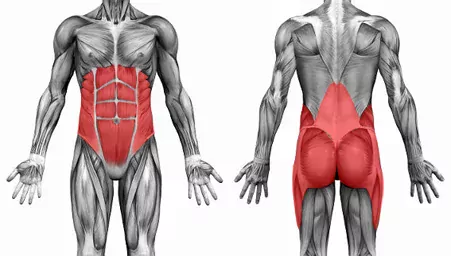 Back Pain – Let’s Get to the “Core” of the Matter