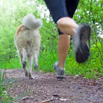 © Błażej Łyjak | Dreamstime.com - Motion blur of woman running with dog in forest