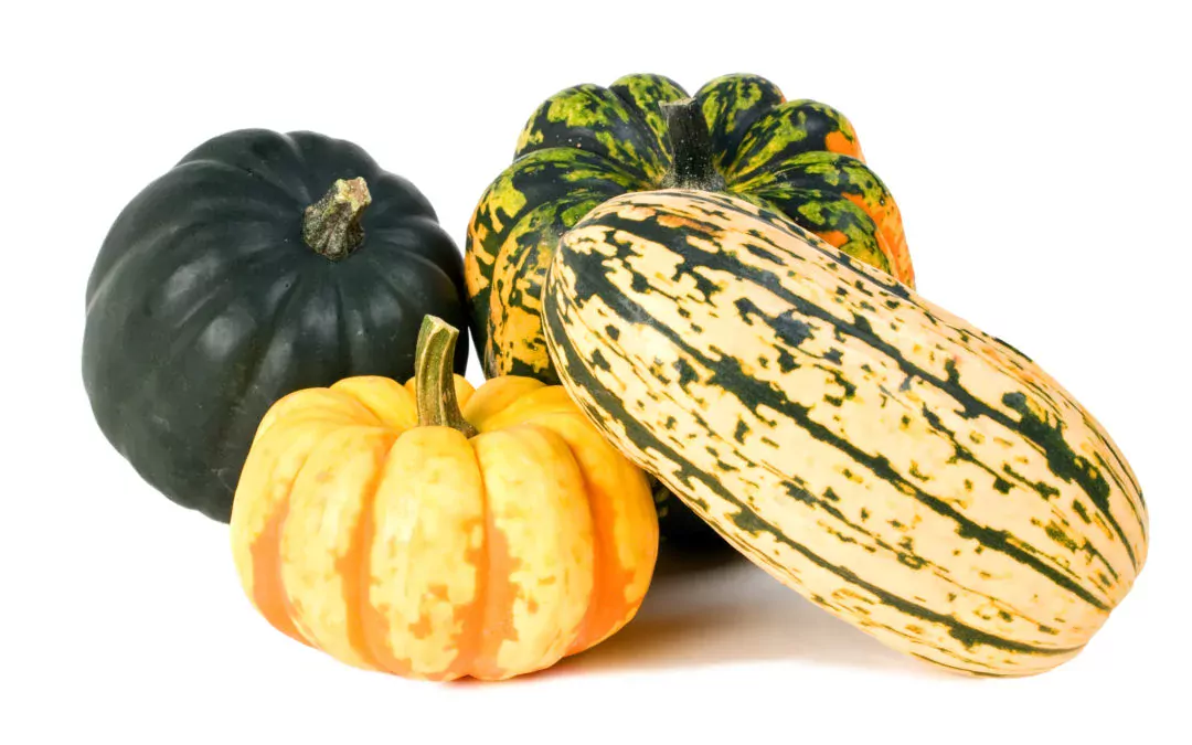 Winter Squash Benefits